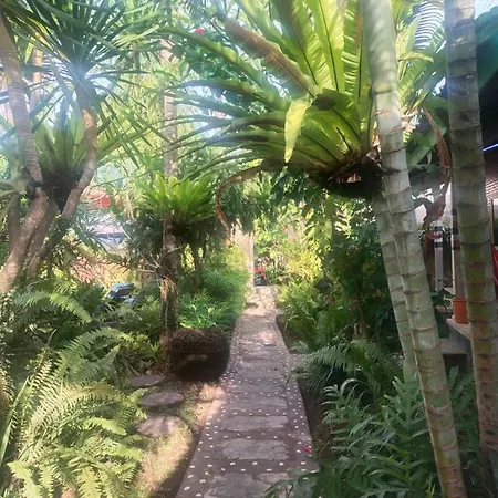 Comeback Guesthouse