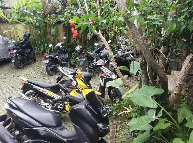 Comeback 3* Canggu