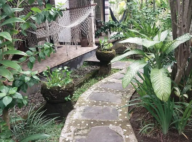 Konukevi Comeback 3*