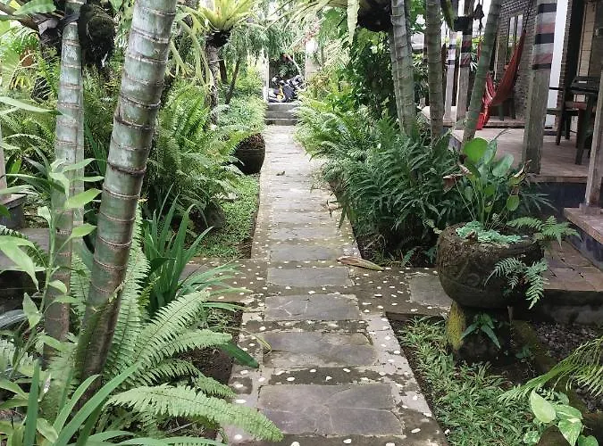 Comeback Konukevi