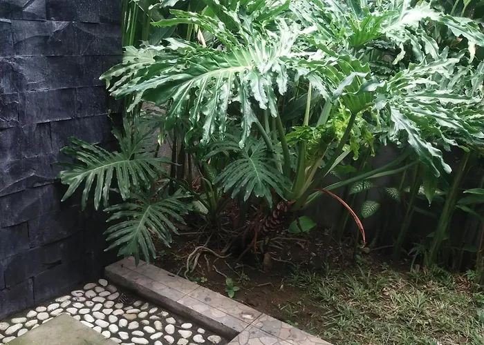 Konukevi Comeback Canggu