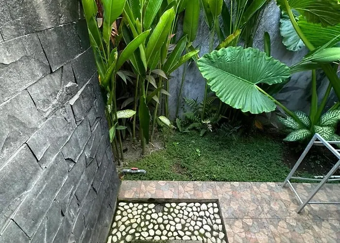 Comeback Canggu